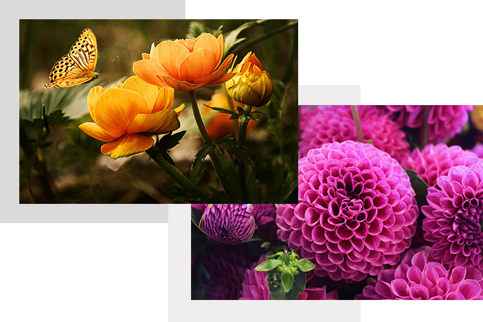 О нашей мастерской